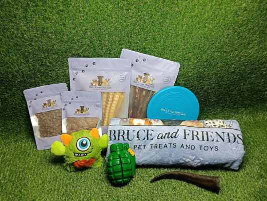 The Pup Parent Starter Bundle