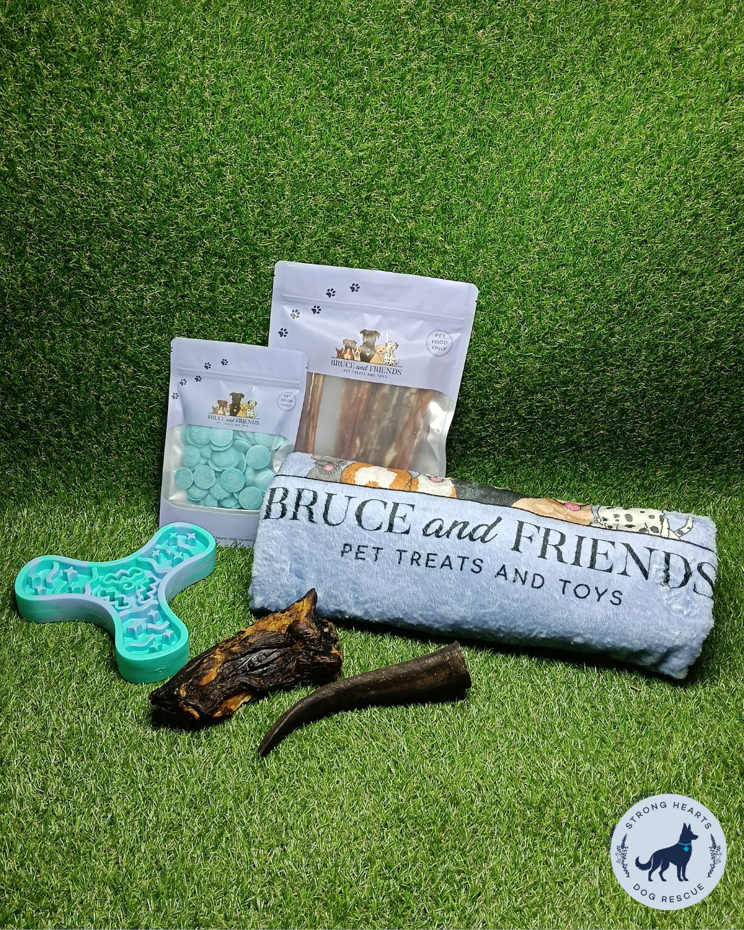 BRUCE’S ESSENTIALS – PAWS FOR A CAUSE