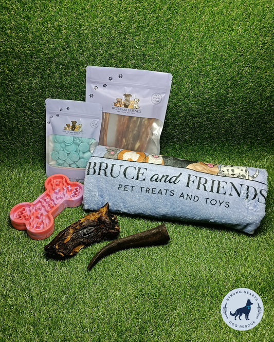 BRUCE’S ESSENTIALS – PAWS FOR A CAUSE