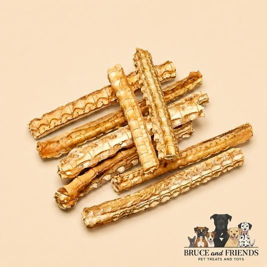 Shark Cartilage
