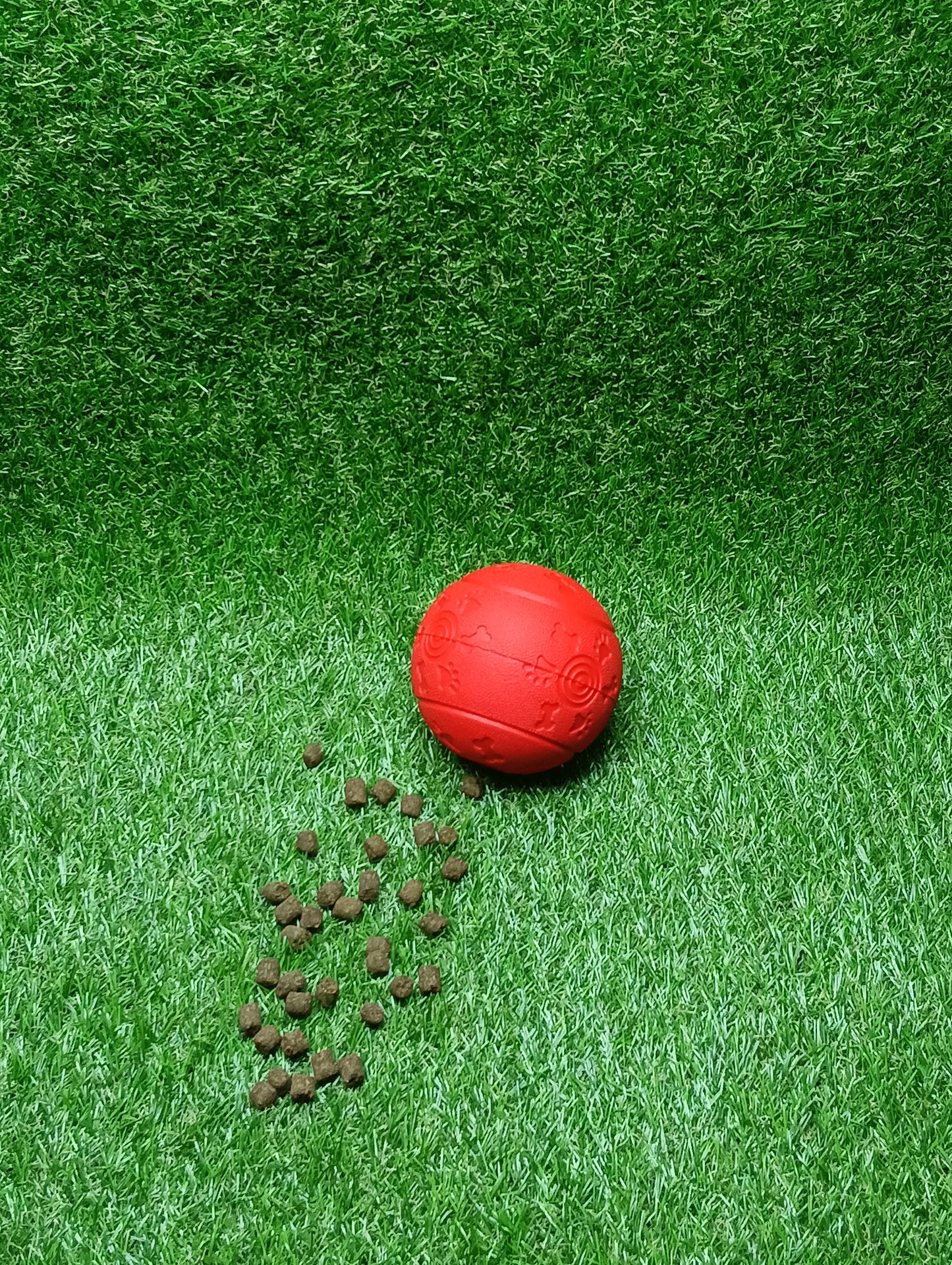 Slow Feeder Ball