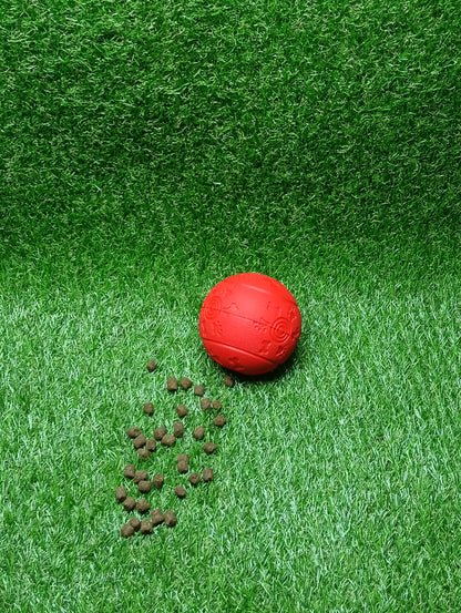 Slow Feeder Ball