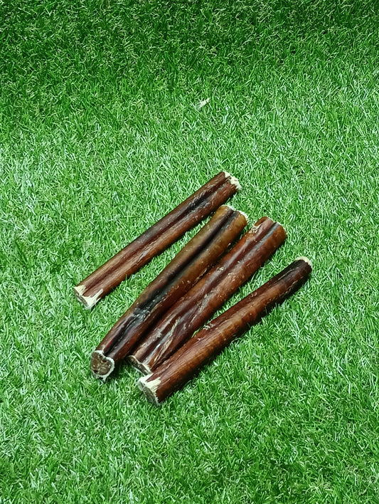 Thick Bully Sticks