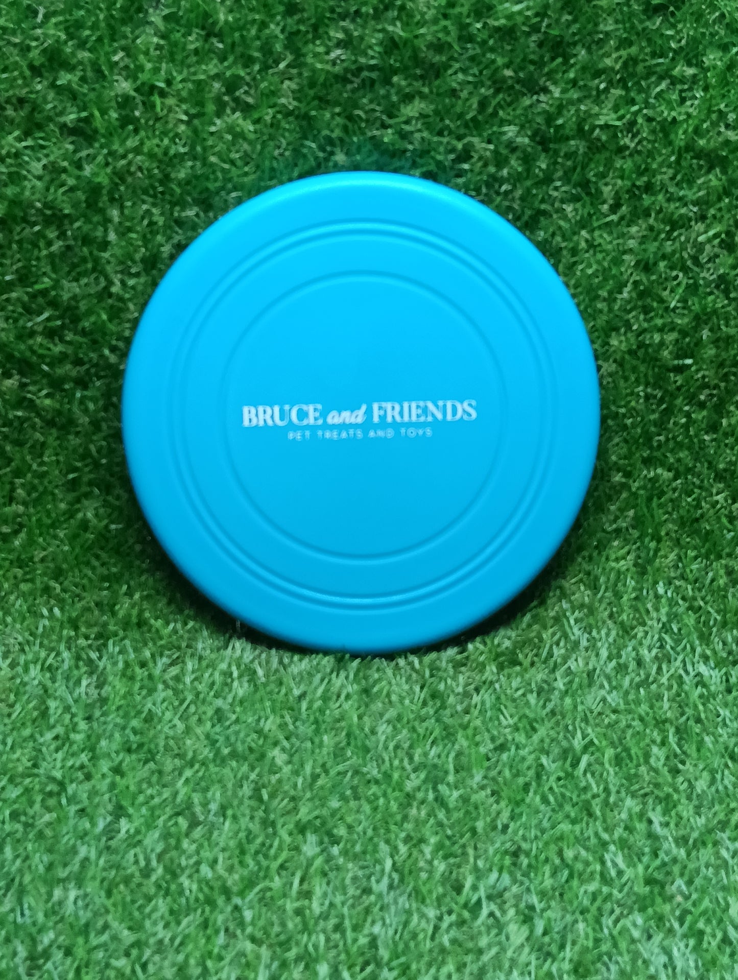 Mini Fly Disc