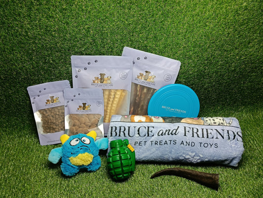 The Pup Parent Starter Bundle